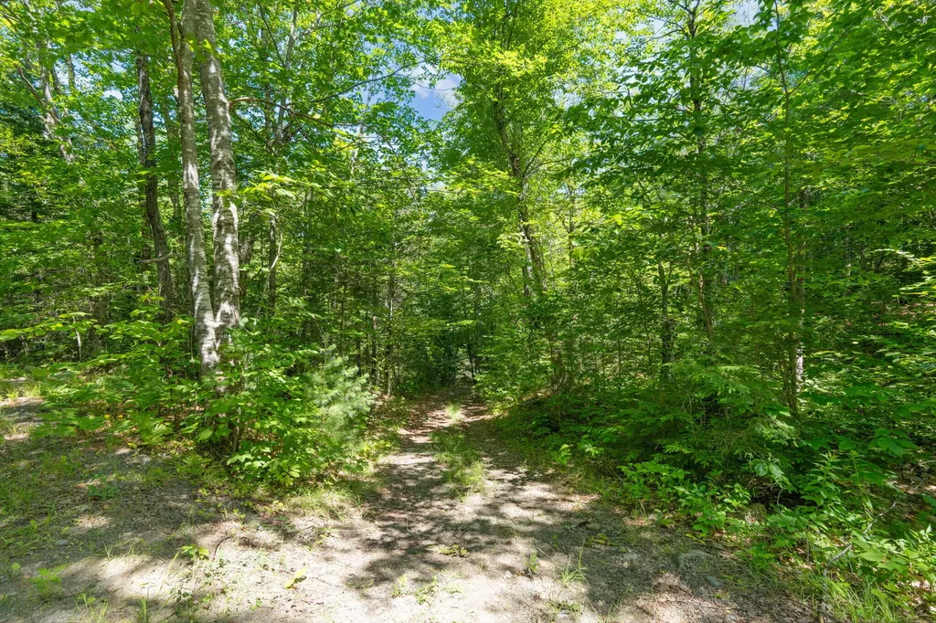 Lot 42 Beech Hill Road Madrid Twp ME 04966