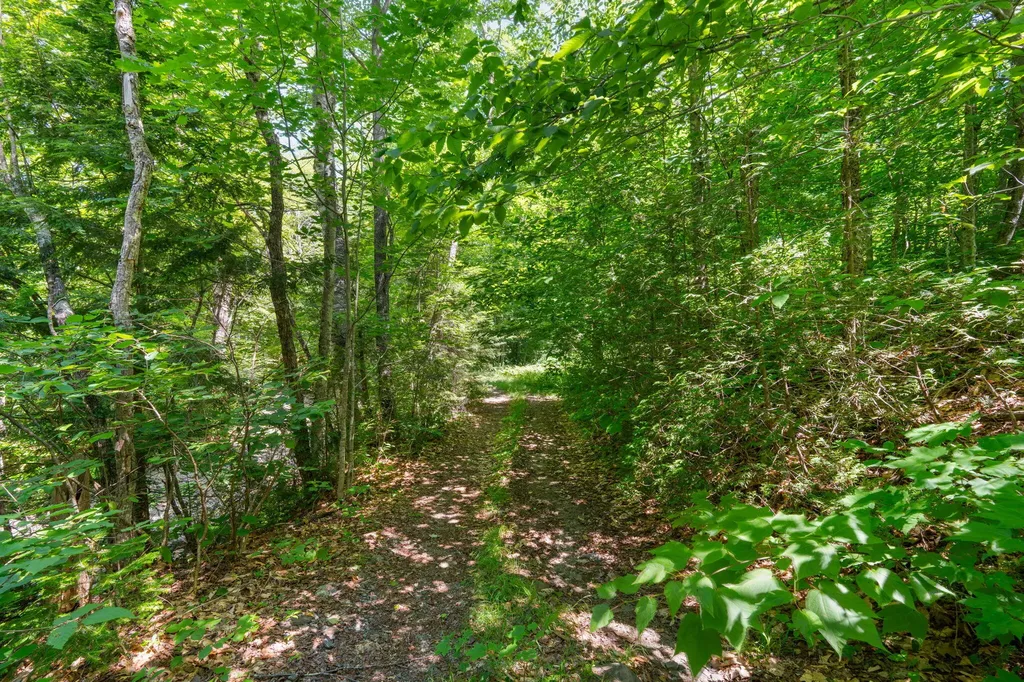 Lot 42 Beech Hill Road Madrid Twp ME 04966