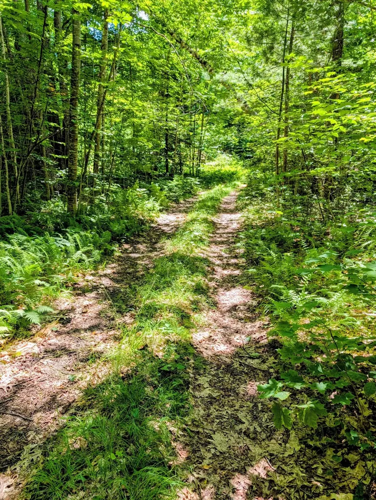 Lot 42 Beech Hill Road Madrid Twp ME 04966