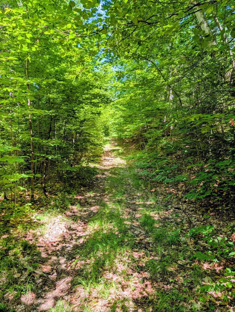 Lot 42 Beech Hill Road Madrid Twp ME 04966