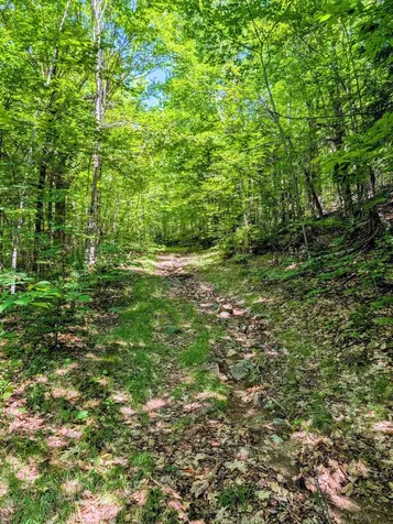 Lot 42 Beech Hill Road Madrid Twp ME 04966