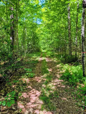 Lot 42 Beech Hill Road Madrid Twp ME 04966
