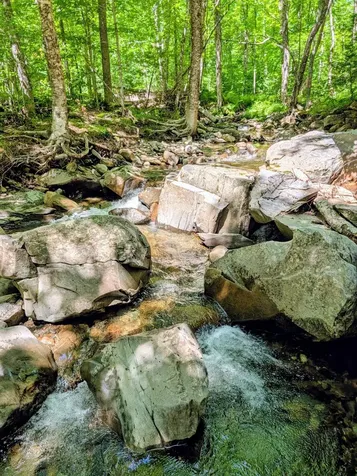 Lot 42 Beech Hill Road Madrid Twp ME 04966