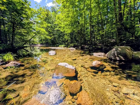 Lot 42 Beech Hill Road Madrid Twp ME 04966