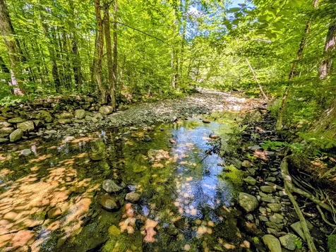 Lot 42 Beech Hill Road Madrid Twp ME 04966