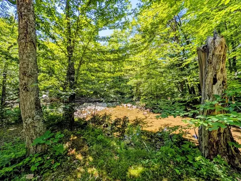 Lot 42 Beech Hill Road Madrid Twp ME 04966