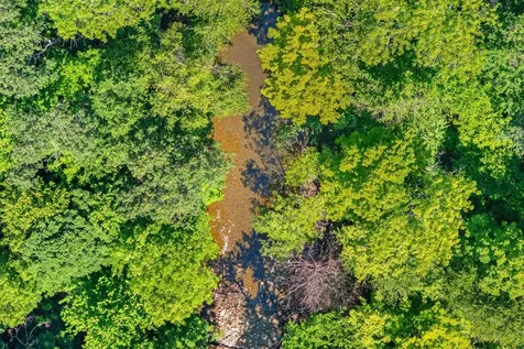 Lot 42 Beech Hill Road Madrid Twp ME 04966