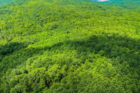 Lot 42 Beech Hill Road Madrid Twp ME 04966