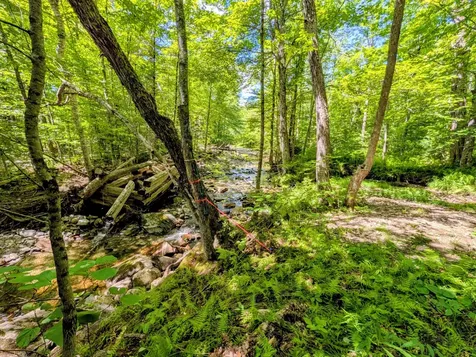 Lot 42 Beech Hill Road Madrid Twp ME 04966