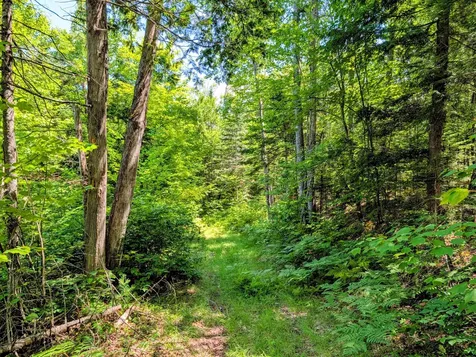 Lot 42 Beech Hill Road Madrid Twp ME 04966