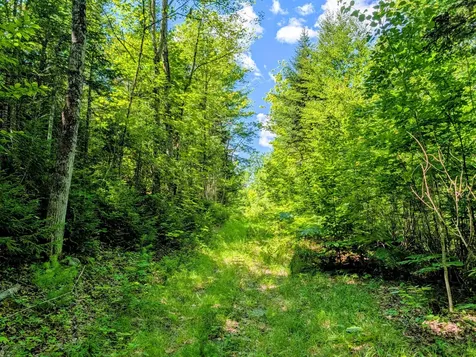Lot 42 Beech Hill Road Madrid Twp ME 04966