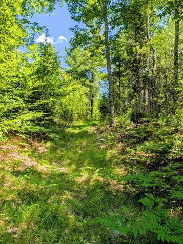 Lot 42 Beech Hill Road Madrid Twp ME 04966