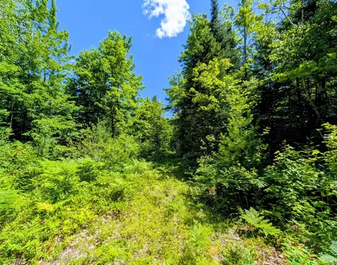 Lot 42 Beech Hill Road Madrid Twp ME 04966