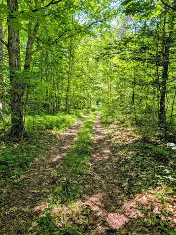 Lot 42 Beech Hill Road Madrid Twp ME 04966