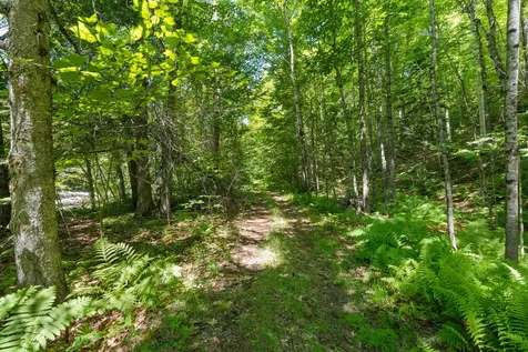 Lot 42 Beech Hill Road Madrid Twp ME 04966