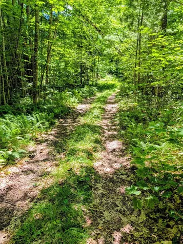 Lot 42 Beech Hill Road Madrid Twp ME 04966