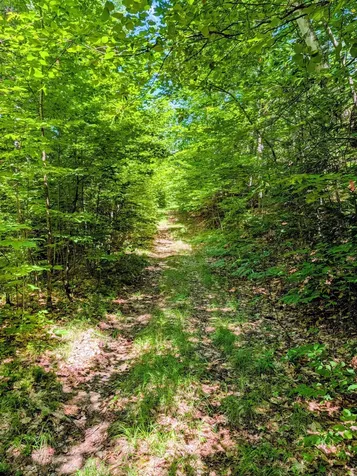 Lot 42 Beech Hill Road Madrid Twp ME 04966