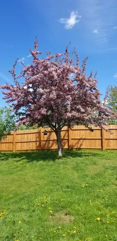 140 26th Avenue Madawaska ME 04756