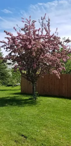 140 26th Avenue Madawaska ME 04756