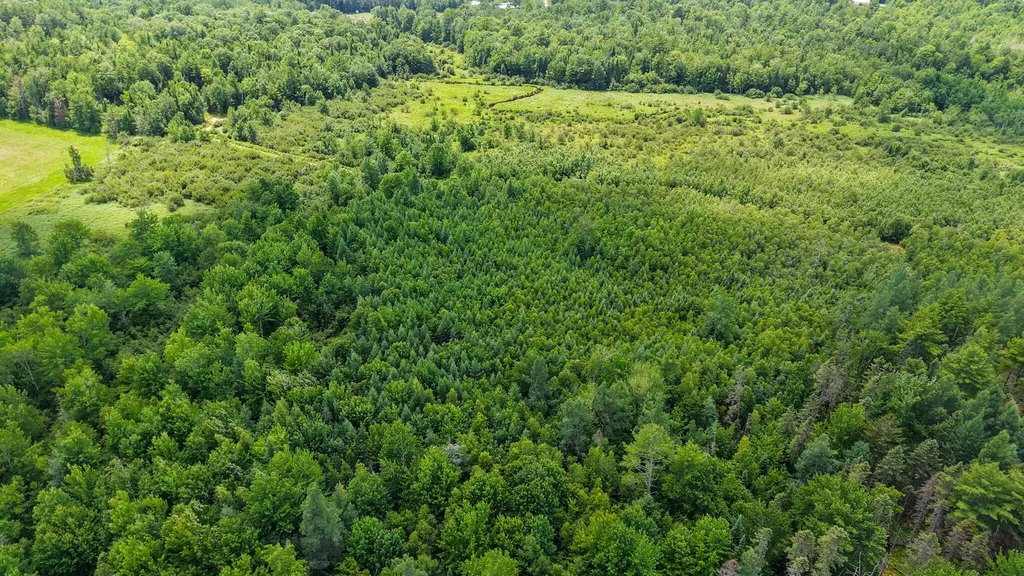 Map 8 Lot 40-5-1 Detroit ME 04929