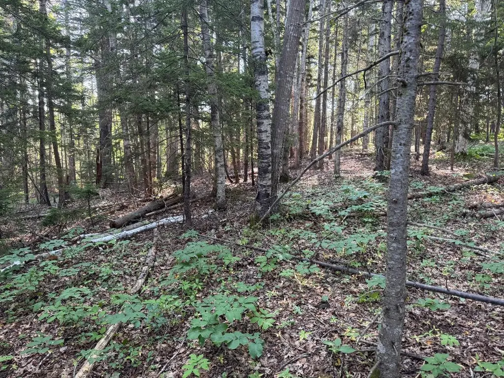 00 Pine Tree Lane Boothbay ME 04537