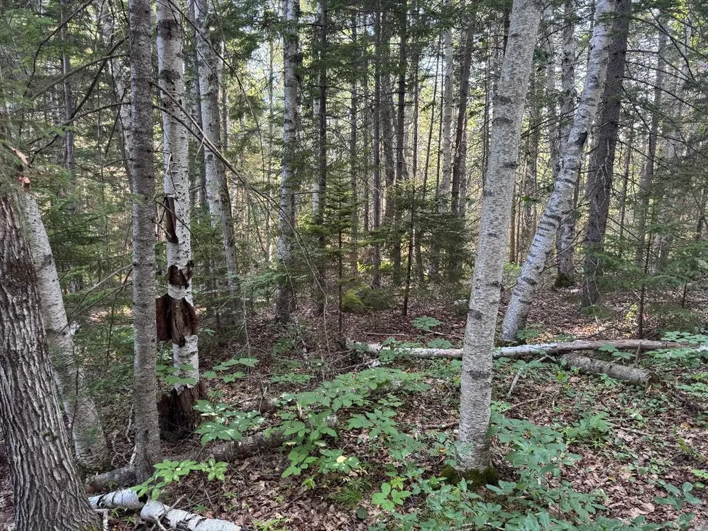 00 Pine Tree Lane Boothbay ME 04537
