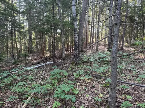 00 Pine Tree Lane Boothbay ME 04537