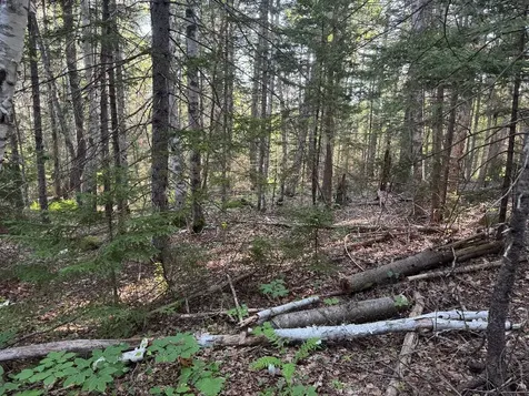 00 Pine Tree Lane Boothbay ME 04537