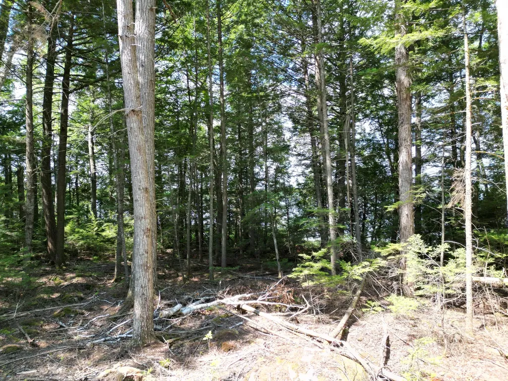 Lot 1 Upper Sunset Shores Lincoln ME 04457