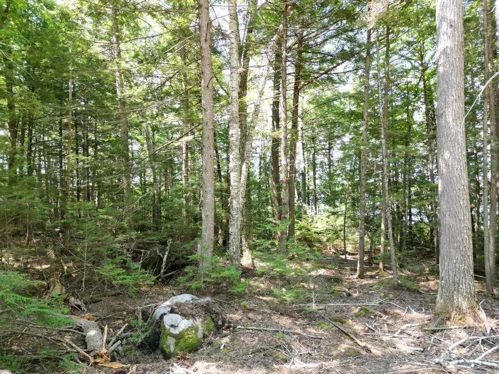 Lot 1 Upper Sunset Shores Lincoln ME 04457