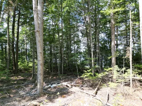 Lot 1 Upper Sunset Shores Lincoln ME 04457