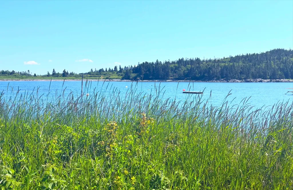 62 Carrying Place Cove Road Lubec ME 04652