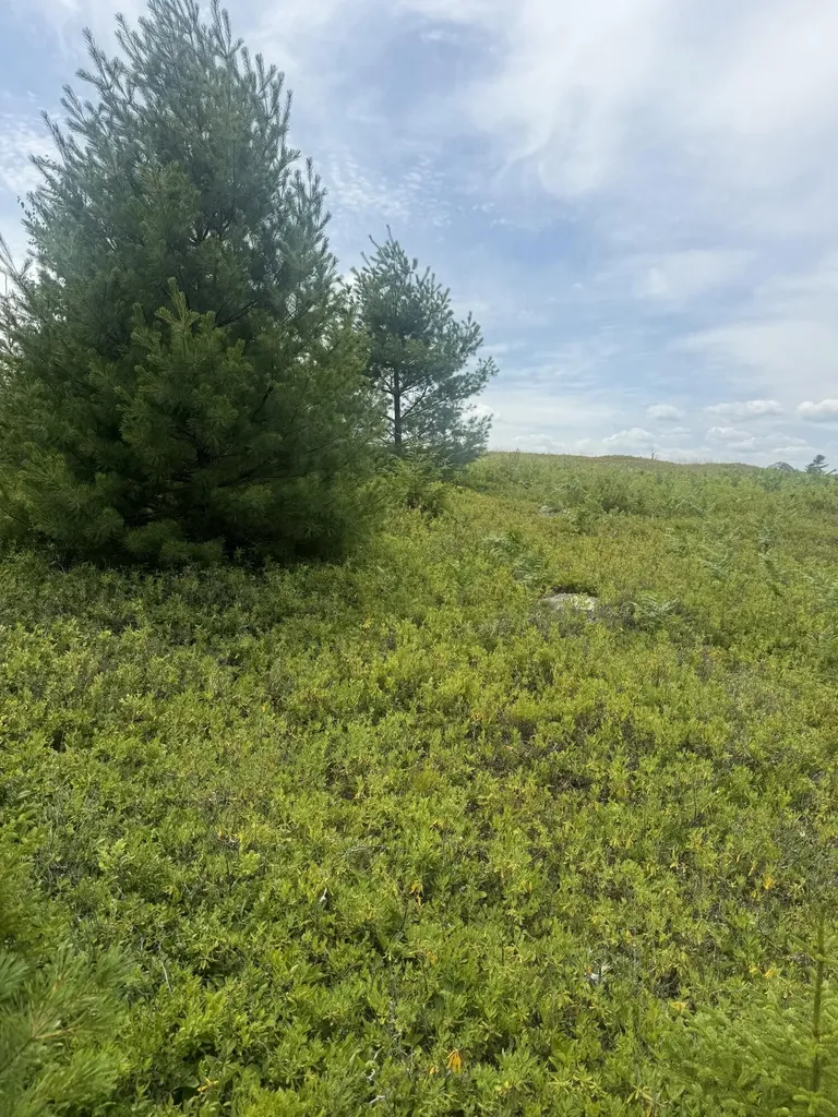 18 Middle Ground View Jonesport ME 04649