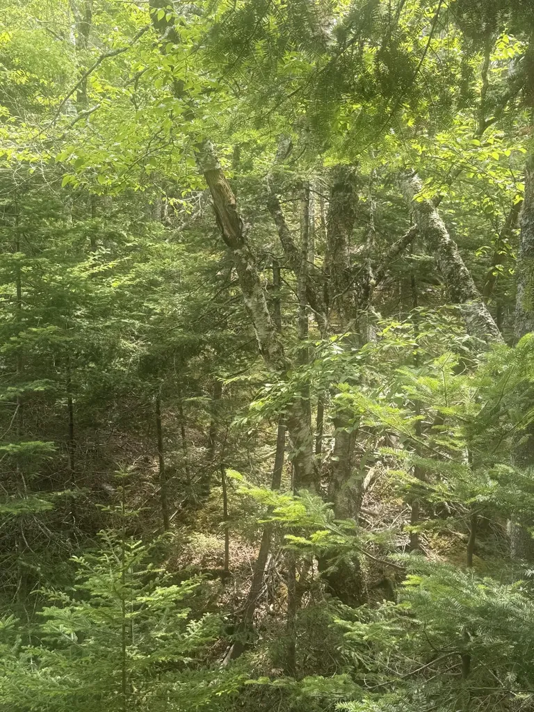 18 Middle Ground View Jonesport ME 04649