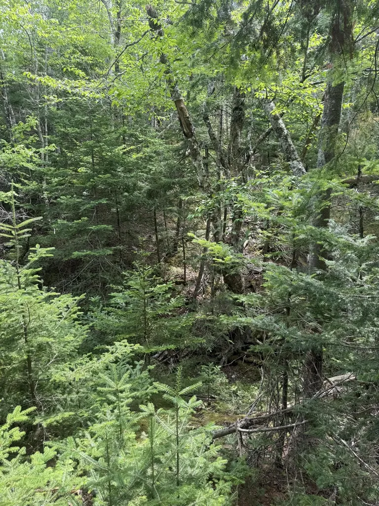 18 Middle Ground View Jonesport ME 04649