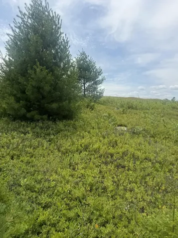 18 Middle Ground View Jonesport ME 04649