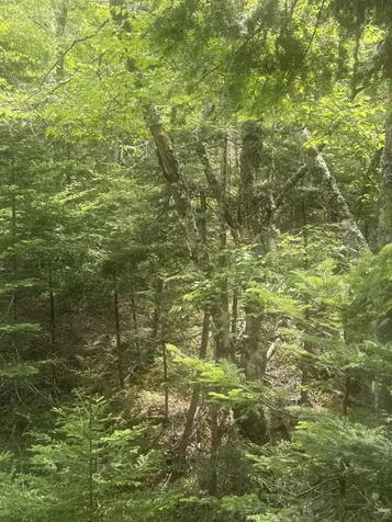 18 Middle Ground View Jonesport ME 04649