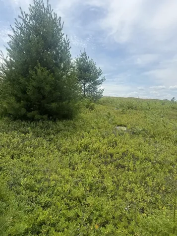 18 Middle Ground View Jonesport ME 04649