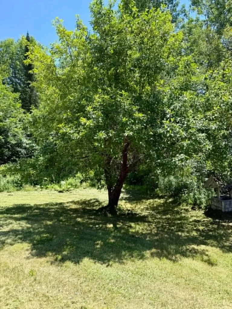 783 Western Ridge Road Palermo ME 04354