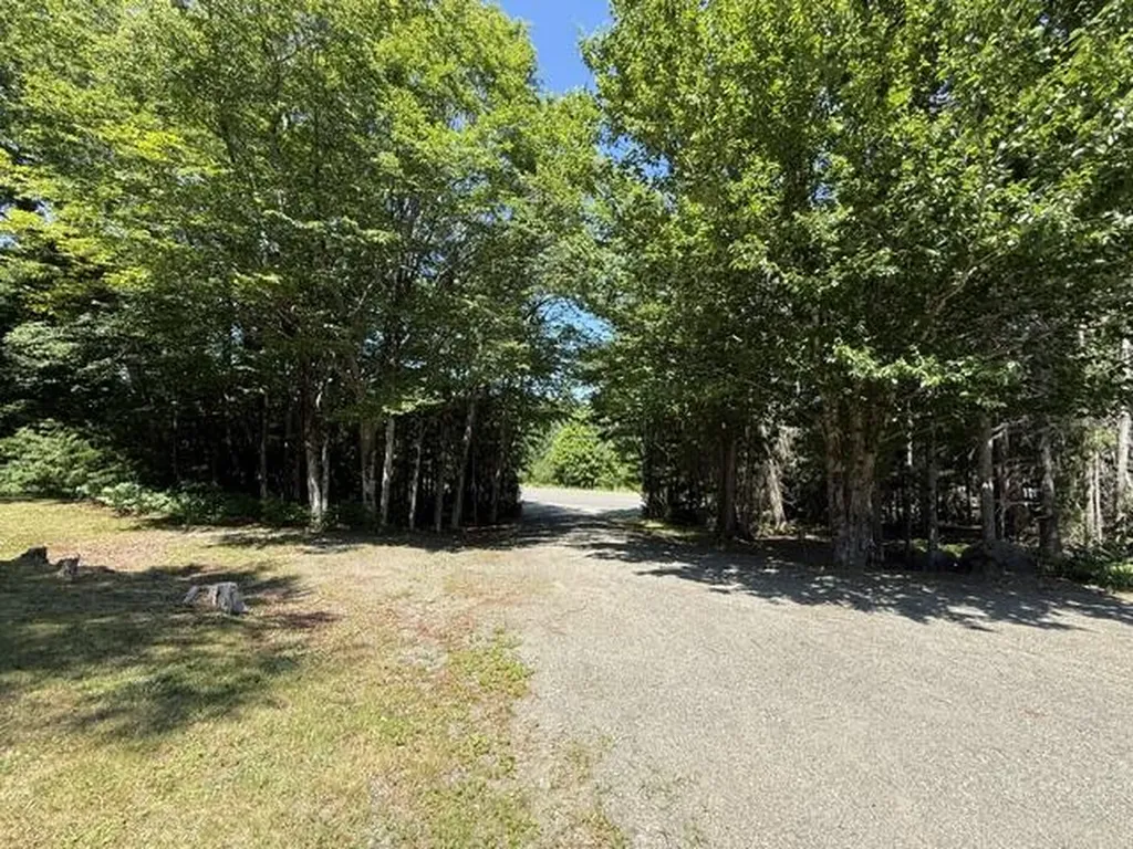 1246 County Road Trescott Twp ME 04652