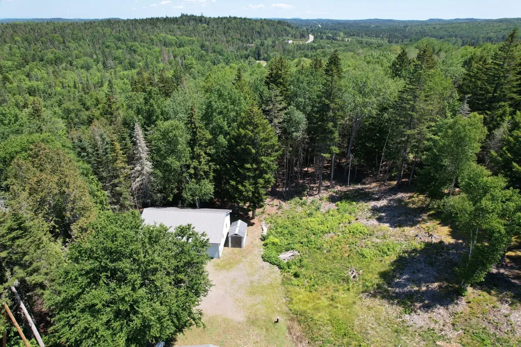 1246 County Road Trescott Twp ME 04652