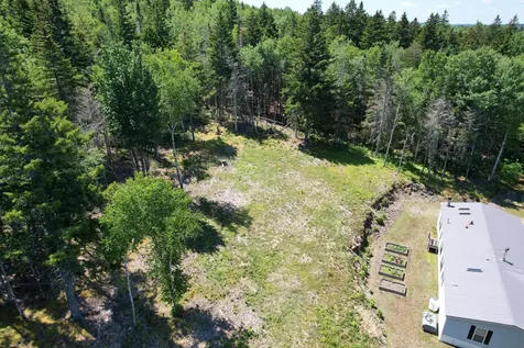 1246 County Road Trescott Twp ME 04652
