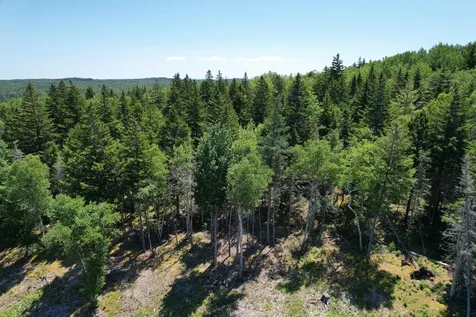 1246 County Road Trescott Twp ME 04652