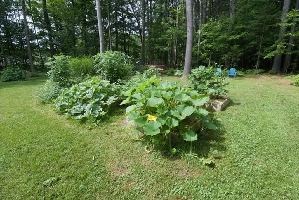 725 Mercer Road Norridgewock ME 04957