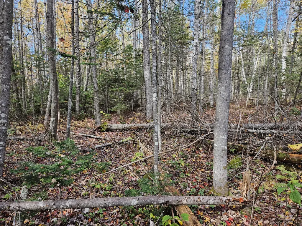 189 Degerstrom Road Monson ME 04464