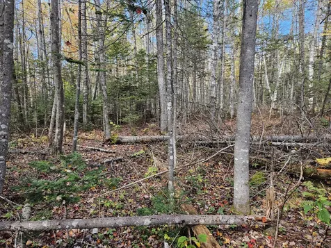 189 Degerstrom Road Monson ME 04464