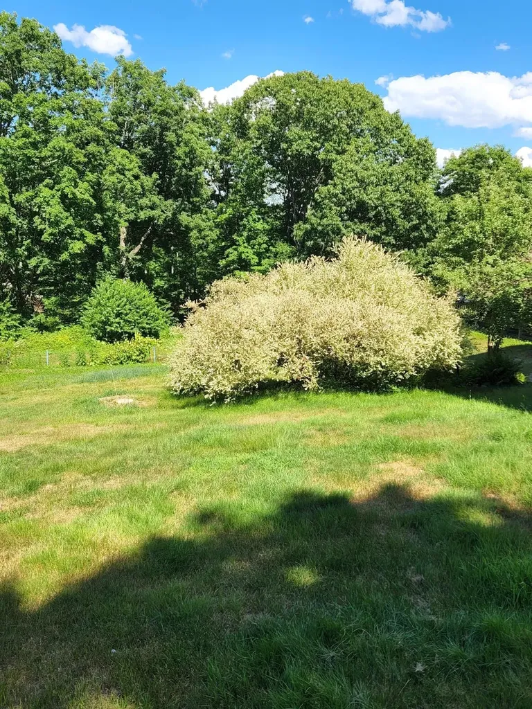1577 Acton Ridge Road Acton ME 04001