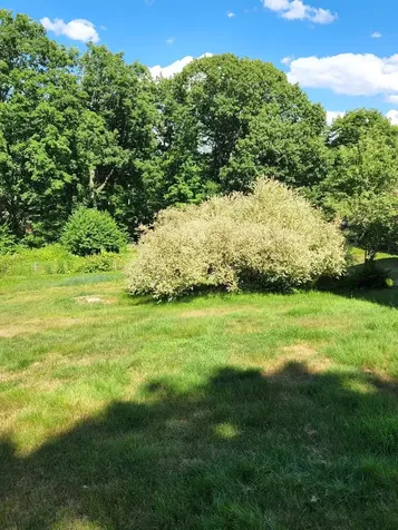 1577 Acton Ridge Road Acton ME 04001