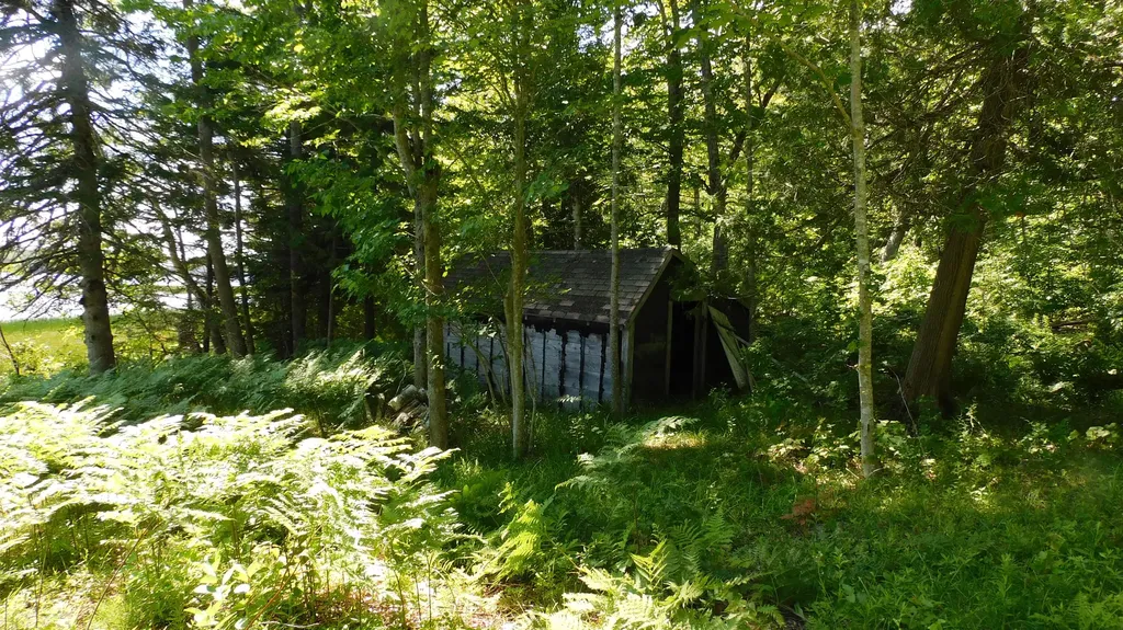 47 Tranquility Lane Perry ME 04667