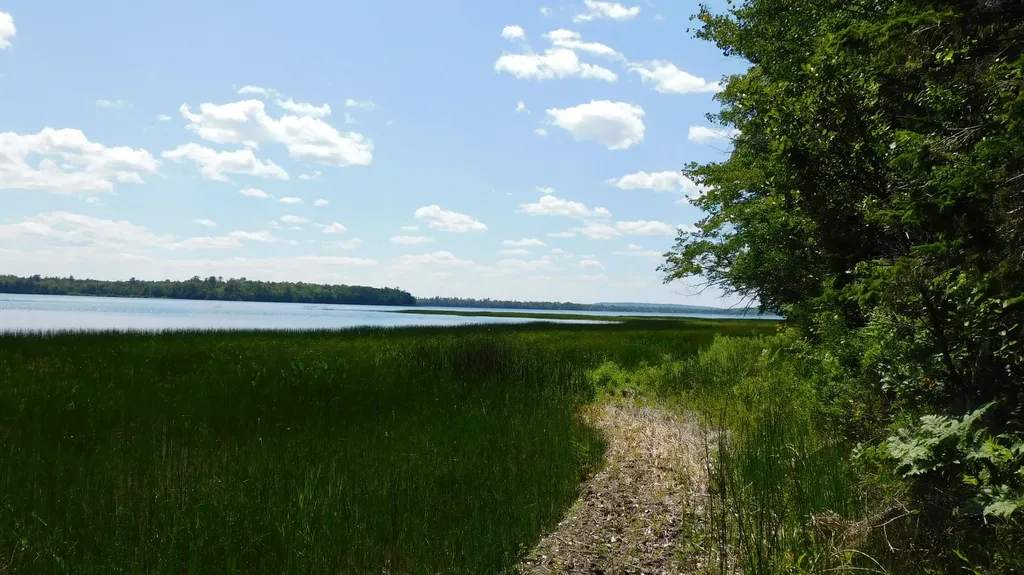 47 Tranquility Lane Perry ME 04667